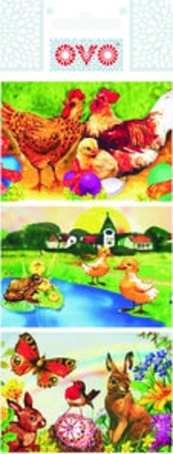 Obrázek z OVO Smršťovací košilky tradiční 1 ks 