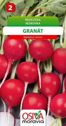 Obrázek z Ředkvička Granát Seva Seed 5 g 