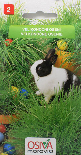 Obrázek z Velikonoční osení Osiva moravia 15 g 