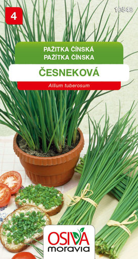 Obrázek z Pažitka čínská česneková 1,5 g 