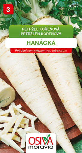 Obrázek z Petržel kořenová Hanácká Seva Seed 3g 