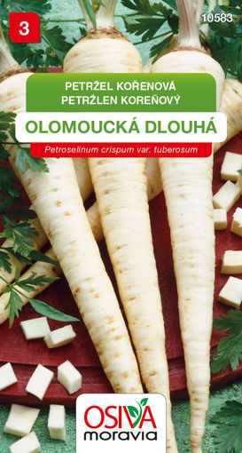 Obrázek z Petržel kořenová Olomoucká dlouhá 3 g 