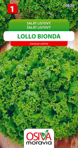 Obrázek z Salát listový Lollo Bionda 0,5 g 
