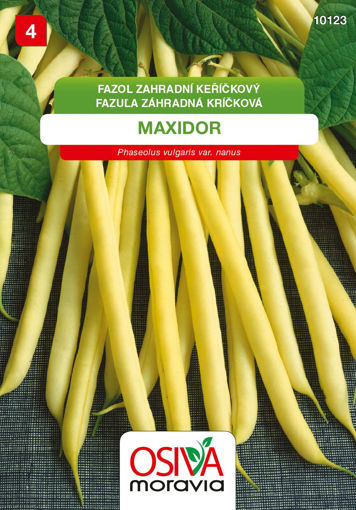 Obrázek z Fazol zahradní keříčkový Maxidor 20g 