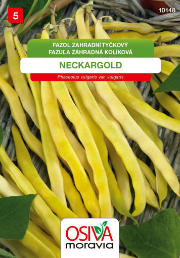 Obrázek z Fazol tyčkový Neckargold 15g 