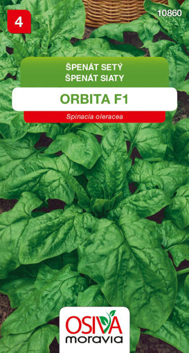 Obrázek z Špenát Orbita F1 5 g 