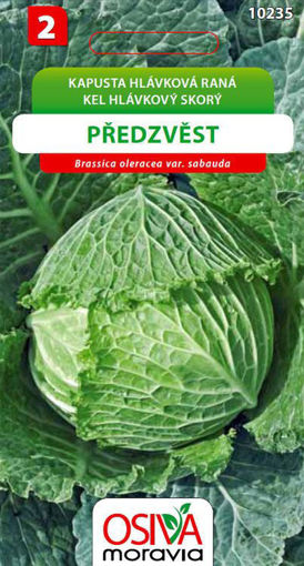 Obrázek z Kapusta hlávková Předzvěst 0,5 g 