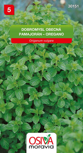 Obrázek z Dobromysl obecná Seva Seed 0,2 g 