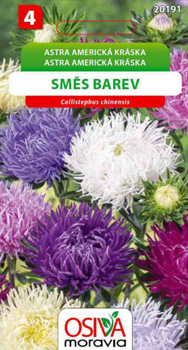 Obrázek z Astra Americká kráska směs barev Seva Seed 0,5 g 
