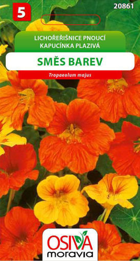 Obrázek z Lichořeřišnice pnoucí Směs barev Seva Moravia 4 g 