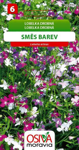 Obrázek z Lobelka drobná směs barev Osiva moravia 0,2 g 